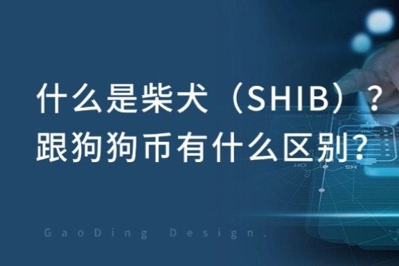 上海银之梦科技——什么是FLOKI代币？潜力不容小觑